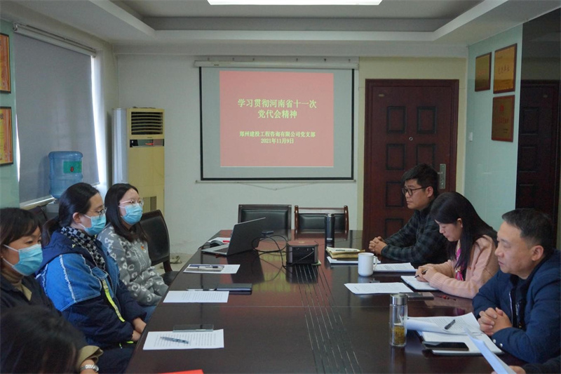 咨詢(xún)黨支部集中學(xué)習(xí)貫徹河南省第十一次黨代會(huì)精神